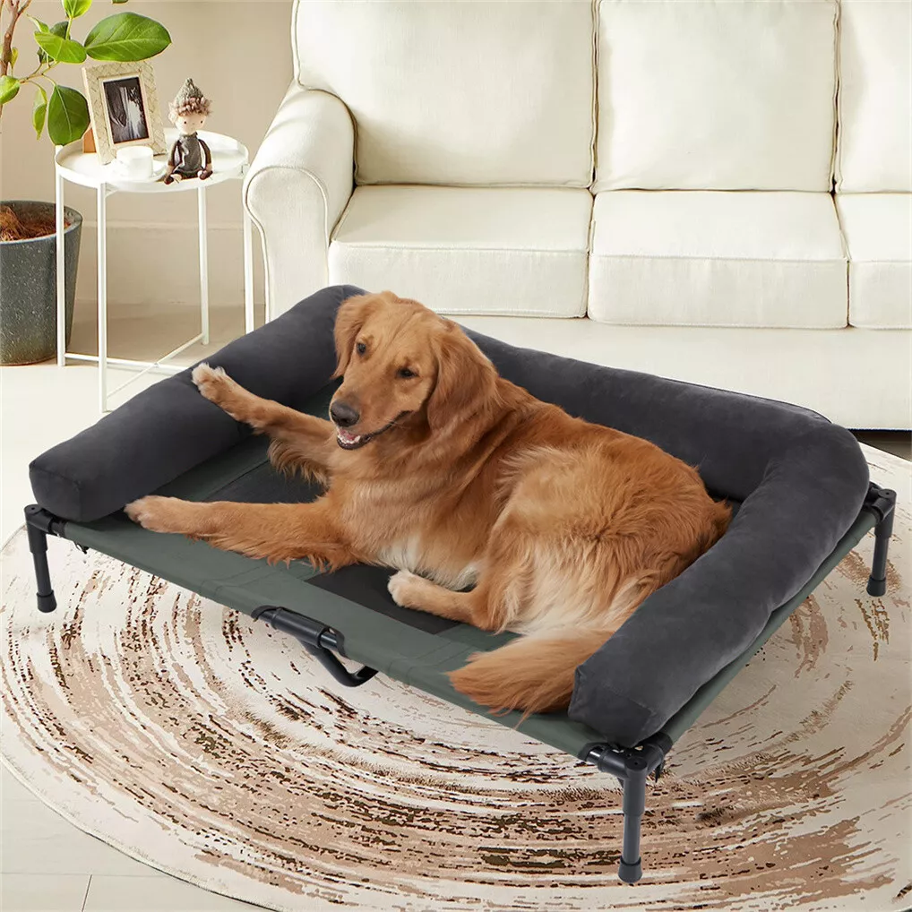 Lit surélevé pour chien BINGOP - Outdoor Camping Dog Bed avis et prix