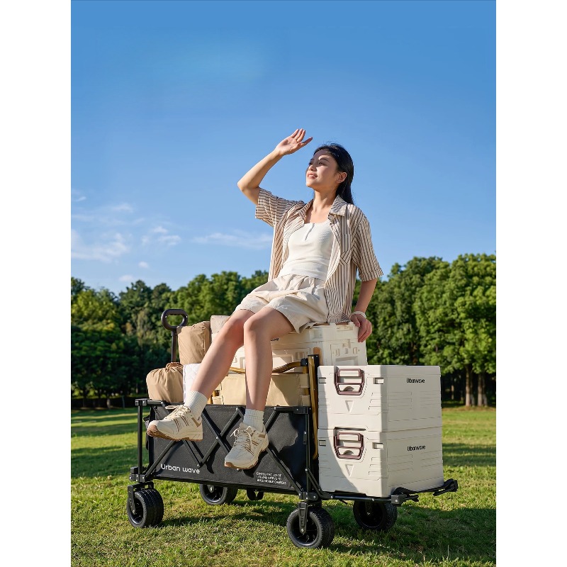 Chariot de camping pliable, ch - Outdoor Camping Trolley avis et prix