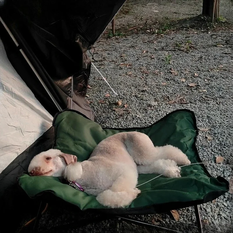 Lit pliable pour animaux de co - Outdoor Camping Dog Bed avis et prix